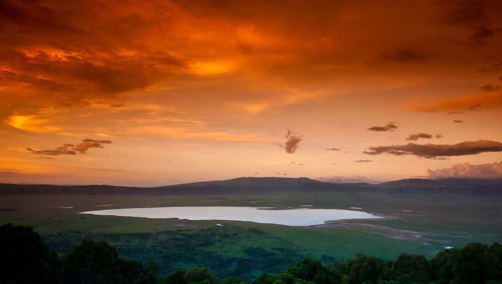 Destinos para la luna de miel: tanzania – lluvia de arroz Con diseño Lecho Arroz