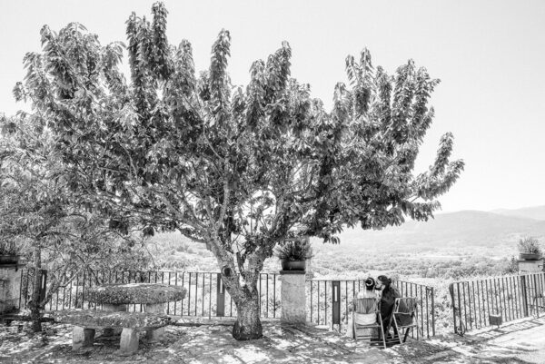 Boda Andrea y Mark